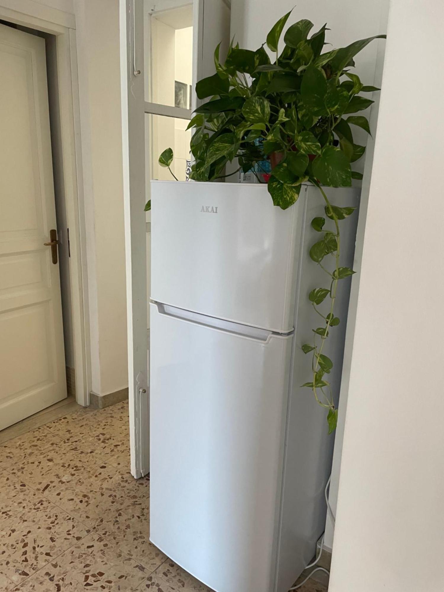 Lorenzo'S House Catania City Centre - Comfortable Large Apartment With 2 Bedrooms And 2 Baths, Close To Trains, Metro And Bus Station Exteriér fotografie